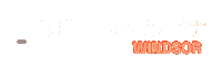 Pickleball Windsor Sticker by Pickleplex Social Club