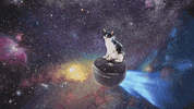 Cat Space GIF by Artiphon