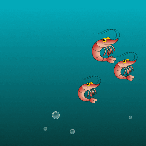 Water Sea GIF by Hugo.fm