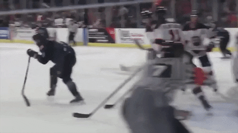 QCStorm giphyupload storm quad city storm qc storm GIF