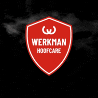 GIF by WerkmanHoofcare