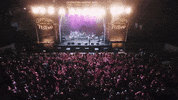 gippslandcountrymusicfest country music cowboy live music music festival GIF