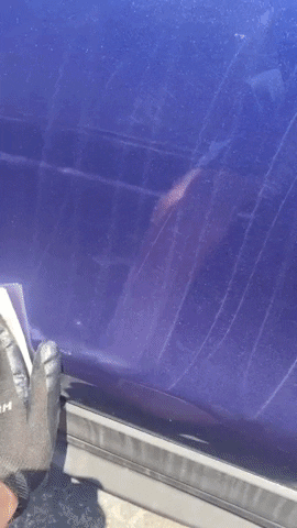 AquaShield giphyupload GIF