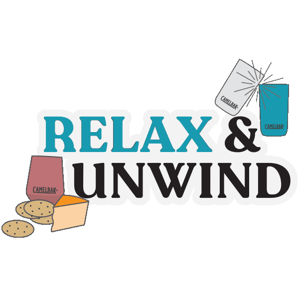 Party Celebrate Sticker by CamelBak