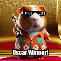 Pop Culture Oscars GIF by Guinea Gambino
