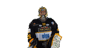 Hockey Win Sticker by HC Pustertal Wolves