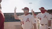 College Baseball GIF by Arkansas Razorbacks