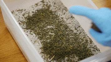 breathe kevin pereira GIF by truTV’s Hack My Life