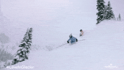 Stephen Huszar Skiing GIF by Hallmark Channel