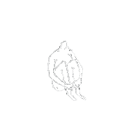 Sad Art Sticker by mogliofficial