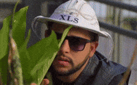 Forro Aracaju GIF by foliaentretenimento