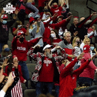 Wisconsin Badgers Sport GIF by NCAA Championships