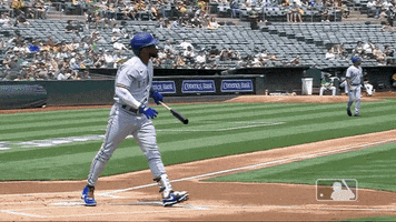 Regular Season Sport GIF by MLB