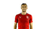 Czech Republic Ceskarepre Sticker by 2score