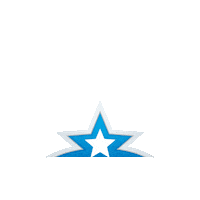 Logo Star Sticker by Thermostar