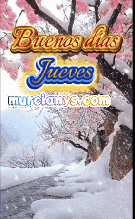 Amigos Buenos Dias GIF by Murcianys LLC