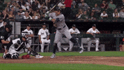 Major League Baseball Sport GIF by MLB