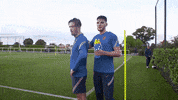 Three Lions Football GIF by England