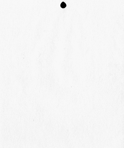 black and white animation GIF by TraceLoops