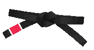 BTTEstonia black bjj belt brazilian jiu jitsu Sticker