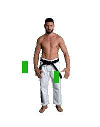 sport fighter Sticker by Karate Combat