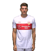 Mario Gomez Sticker by VfB Stuttgart