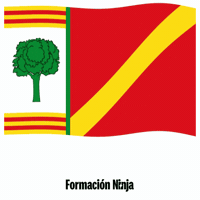 Flag Spain GIF by Formación Ninja