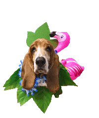 Pool Party Flamingo Sticker