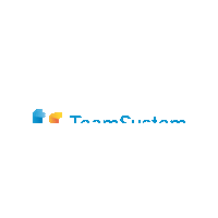 TeamSystem teamsystem team system Sticker