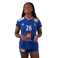 Ffhandball Sticker by Fédération Française de Handball