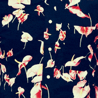 GIF by Wantering