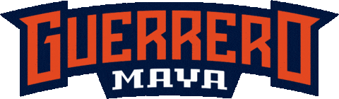 Lucha Libre Wwe Sticker by Guerrero Maya