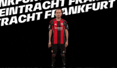 Hands Up Celebration GIF by Eintracht Frankfurt