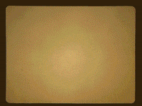 acid trip visuals GIF by falenabalena