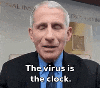 Coronavirus GIF by GIPHY News