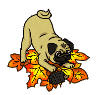Halloween Fall Sticker by Livia Farkas @ urban:eve