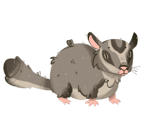 Sugar Glider Sticker by NEKTON GmbH