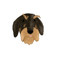Old Man Dog Sticker