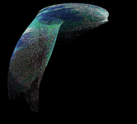 art processing GIF by Adam Ferriss