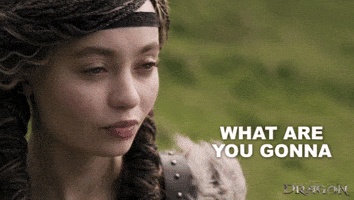 Dragons Nico GIF by How To Train Your Dragon