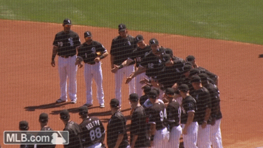 cws GIF by MLB