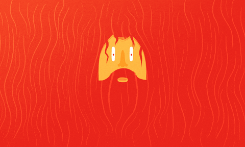 Idsstudio GIF