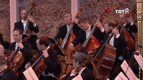 Viyana Filarmoni Orkestrası GIF by TRT