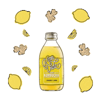 Komvidakombucha green ginger berry kombucha Sticker