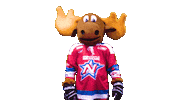 no goal Sticker by Newcastle Northstars