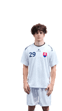 slovenskyzvazflorbalu slovakia florbal slovak floorball szfb Sticker