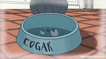 sad pug GIF by Pugatory