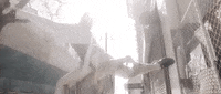 music video stand in the light GIF by Republic Records