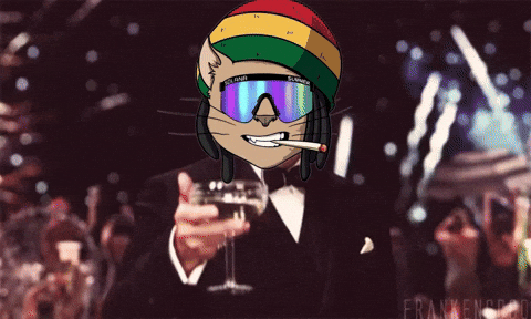 BumbaCat giphyupload GIF