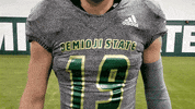 Bsubeaversfb GIF by Bemidji State Beavers
